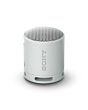 Sony SRSXB100H Bluetooth Speaker in Light Grey