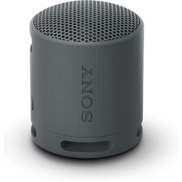 Sony SRSXB100B_CE7 Bluetooth Speaker in Black