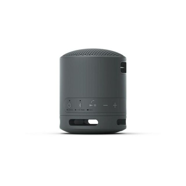Sony SRSXB100B_CE7 Bluetooth Speaker in Black