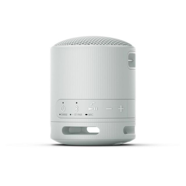 Sony SRSXB100H Bluetooth Speaker in Light Grey