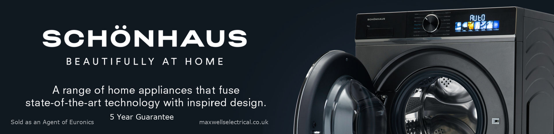 Schonhaus-1919_x_464